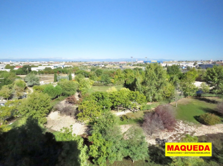 Vistas desde la vivienda. Zona verde y arbolada. Al fondo se aprecia la sierra de Madrid